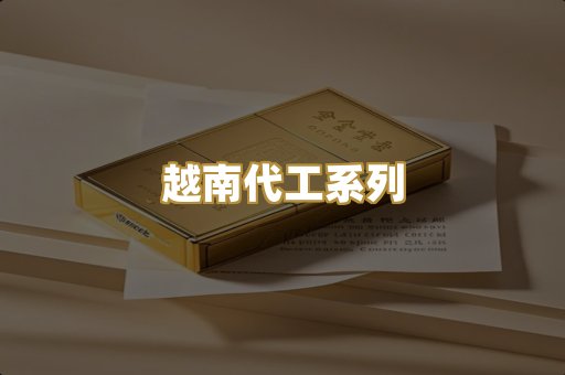 越南代工系列